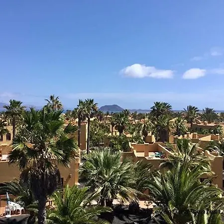 Апартаменты Oasis Papagayo Коральео