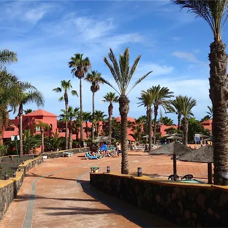 Apartament Oasis Papagayo *